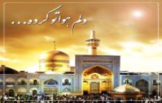 مسابقه کتابخوانی نشانی بهشت (به مناسبت شهادت امام رضا (ع)) مسابقه کتابخوانی نشانی بهشت (به مناسبت شهادت امام رضا (ع))