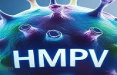 مسابقه کتابخوانی آشنایی با ویروس HMPV مسابقه کتابخوانی آشنایی با ویروس HMPV